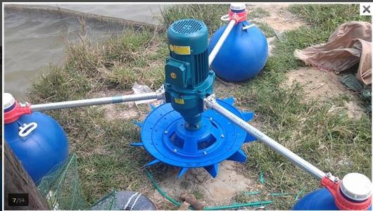秋冬低溫要不要開增氧機?